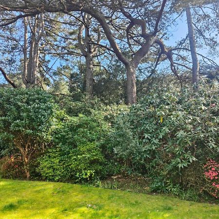 Peaceful Getaway In Forested Park Bournemouth Ngoại thất bức ảnh