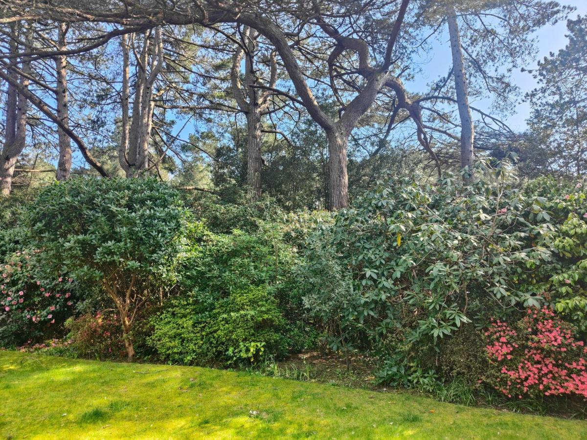 Peaceful Getaway In Forested Park Bournemouth Ngoại thất bức ảnh