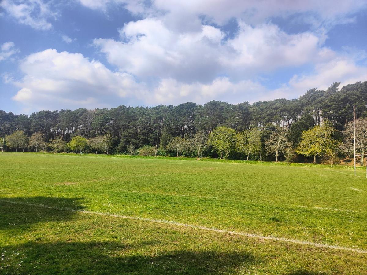Peaceful Getaway In Forested Park Bournemouth Ngoại thất bức ảnh