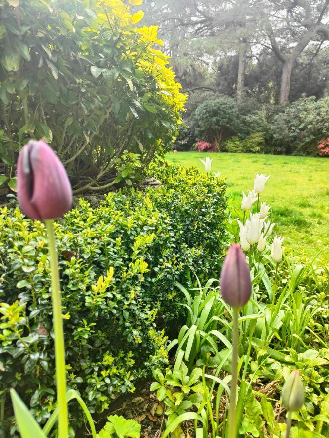 Peaceful Getaway In Forested Park Bournemouth Ngoại thất bức ảnh